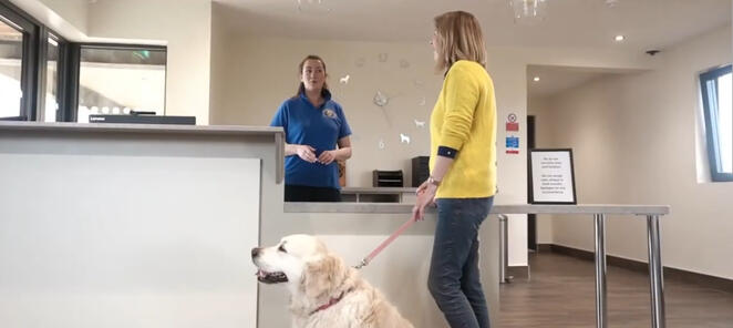 Amy interview Render